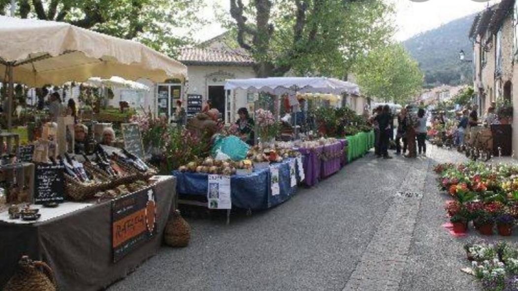 Sylvie Daire Le Plan-de-la-Tour Dış mekan fotoğraf