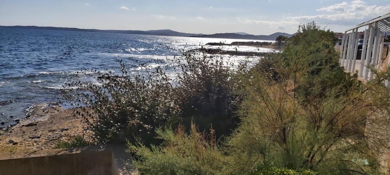 Sylvie Daire Le Plan-de-la-Tour Dış mekan fotoğraf